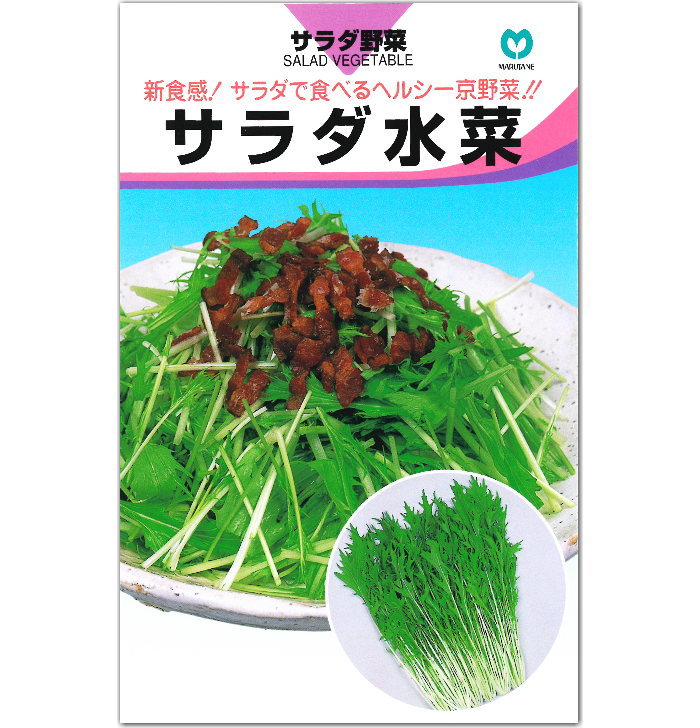 京野菜の定番 水菜の育て方講座 土作りや種まき時期など 栽培のポイントを解説 暮らし の