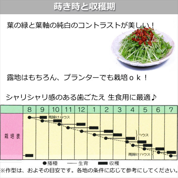 プランターでも冬に育てられる野菜10選 気になる冬時期の栽培ポイントも解説 暮らし の