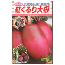 だいこん 種子 紅くるり大根 2.5ml 大根
