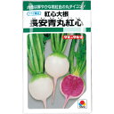 だいこん 種子 長安青丸紅心 コウシンダイコン 9ml 大根