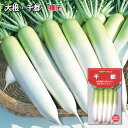 だいこん 種子 千都 せんと 4.5ml~20ml 大根