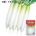 だいこん 種子 YRくらま 4.5ml~20ml 大根