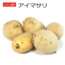 ジャガイモ アイマサリ 種芋 500g 秋植え用ジャガイモ L〜Sサイズ