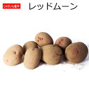 じゃがいも レッドムーン 種芋 500g ジャガイモ L〜Sサイズ