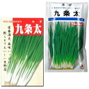 ネギ 種子 九条太 13ml~1dl ねぎ