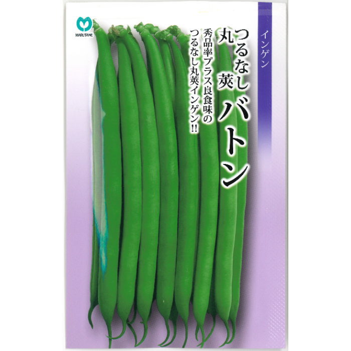 �Ĥ�ʤ���貥��󥲥�� �Хȥ� �ۼ�� 10ml