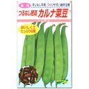 インゲン 種子 カルナ 菜豆 つるなし穂高 30ml~1dl