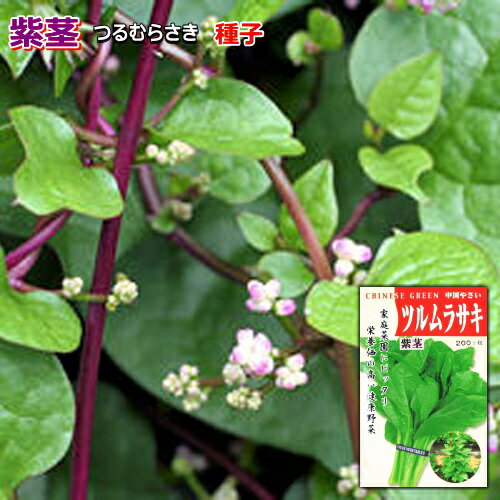 つるむらさき 種子 紫茎 6ml ツルムラサキ むらさき茎