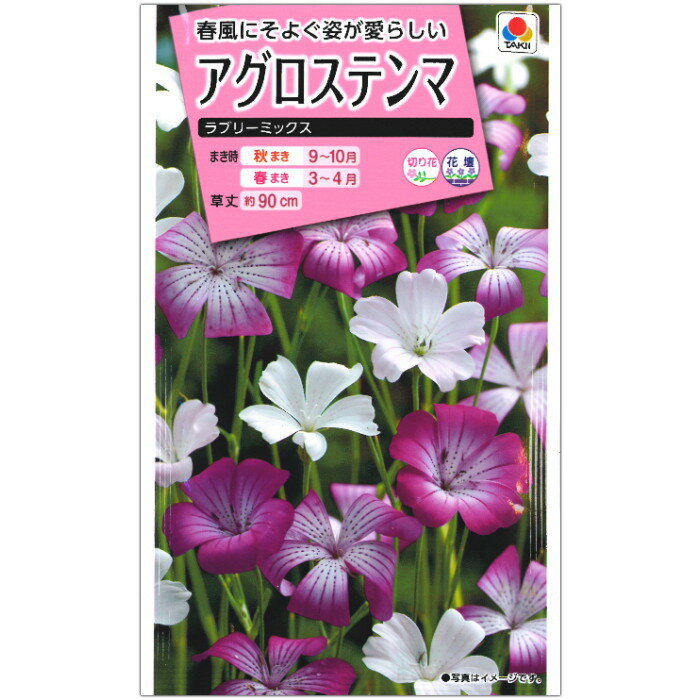 アグロステンマ 種子 ラブリーミックス 1.5ml（育苗可能本数：およそ80本)のサムネイル