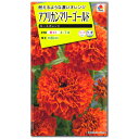 マリーゴールド 種子 キースオレンジ （育苗可能本数：およそ20本) 30粒 万寿菊（アフリカン マリーゴールド）