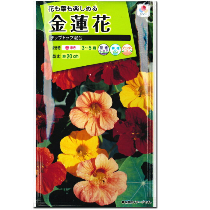 ナスターチウム（金蓮花）種子 チップトップ混合 4ml（育苗可能本数：およそ10本) Nasturtium