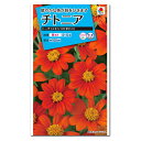 チトニア 種子 トーチ(メキシコひまわり)(育苗可能本数:およそ30本) 2ml