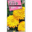 百日草 種子 ゴールドサン 3ml(育苗可能本数:およそ30本) Zinnia ジニア
