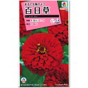 百日草 種子 レッドサン 3ml(育苗可能本数:およそ30本) Zinnia ジニア