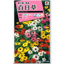 百日草 種子 ザハラミックス 30粒(育苗可能本数:およそ20本) Zinnia ジニア