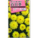 百日草 種子 ザハラダブルイエロー 20粒(育苗可能本数:およそ10本) Zinnia ジニア