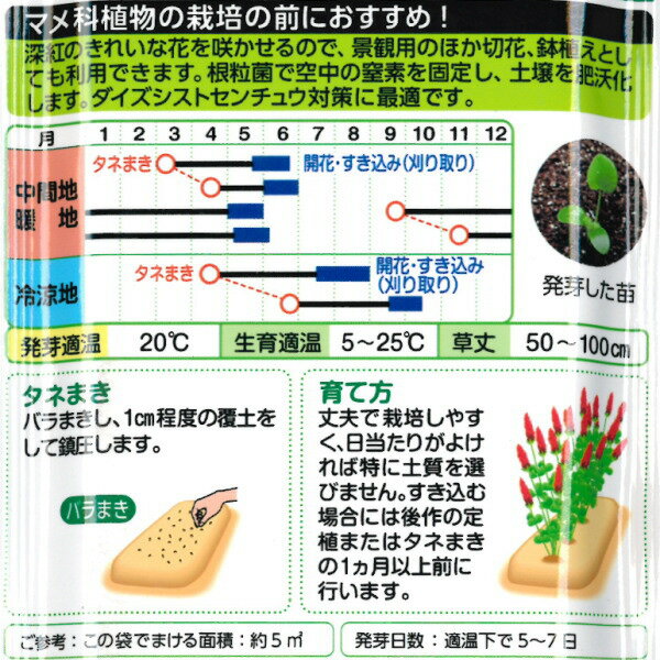 クリムソンクローバー・ディクシー 種子 （面積約5m2分）60ml