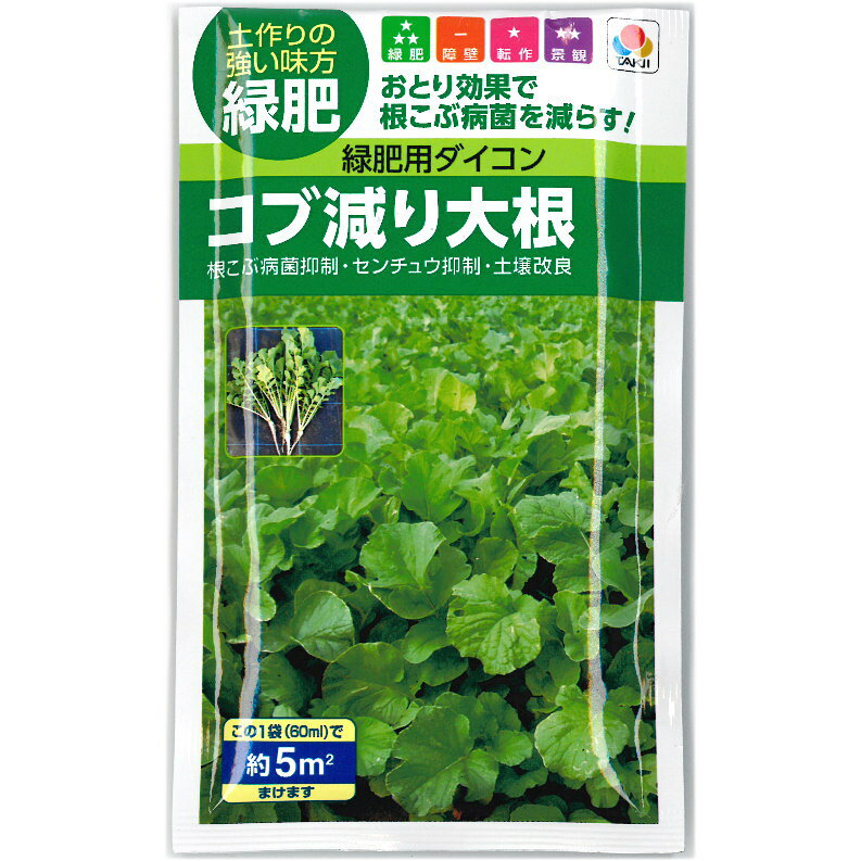 緑肥用大根 【 コブ減り大根 】 種子　 --------------------------- おとり効果で「根こぶ病菌」を減らし健康な土壌を取り戻しましょう！ アブラナ科作物に甚大な被害を与える根こぶ病菌は休眠胞子を増やし続けることで年々土壌を汚染していきます。抵抗品種を作付けして一時は被害が軽減されても根本的な解決にはなりません。そこで、根こぶ病抵抗性品種の「コブ減り大根」を利用して健康な土壌を取り戻しましょう。 土壌中で休眠している根こぶ病菌の胞子を覚まさせ、「コブ減り大根」の根毛に感染させますが皮層への感染ができないため、菌密度減少効果が期待できる。根が肥大しないタイプのダイコンで、すき込み後の雑菌繁殖が軽減できる。 【播種期】 冷涼地：4～9月 中間・暖地：3～6月、9～10月 【栽培ポイント】 ・根こぶ病菌は9～30度Cで活動し、20～24度Cで最も活発になります。その時期を狙って栽培すると高い効果が得られます。 ・コブ減り大根は抵抗性品種のため一次感染（根毛感染）のあと発病（皮層感染）しません。そのため、土壌中の休眠胞子を減らし根こぶ病の抑制に繋がります。 ・「フルスルファミド剤」などの効果により、土壌で眠らされている胞子についてのおとり効果は期待できませんが、菌が活発に活動している根こぶ病被害圃場ではおとり効果が期待できます。 ---------------------------