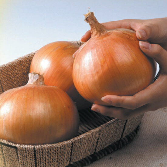 ���� �� ���ȥ� �� ���ޤͤ� 90�ܡ�100��) ������