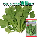春菊【 フレッシュサラダ春菊 】種子 500粒