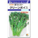 茎ブロッコリー 種子 グリーンボイス 0.9ml ブロッコリー