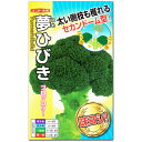 ブロッコリー 種子 夢ひびき 0.7ml(約90粒)