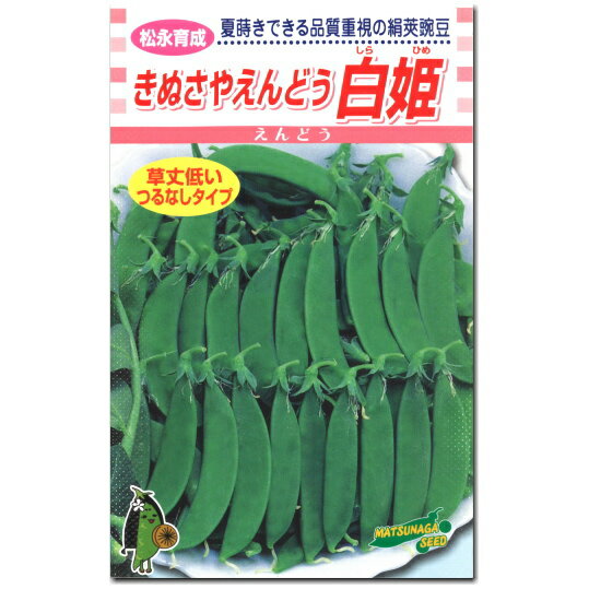 えんどう【 きぬさやえんどう 白姫 】種子 20ml／草丈低い／つる無し／絹さやエンドウ