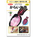 だいこん 種子 からいね赤 6ml 大根
