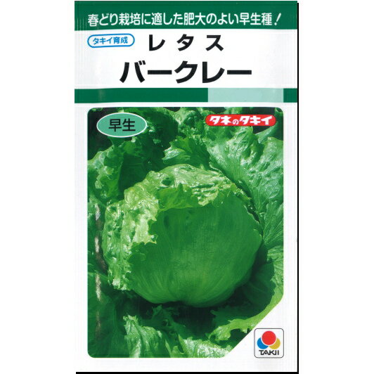 レタス 種子 バークレー 結球レタス 0.5ml