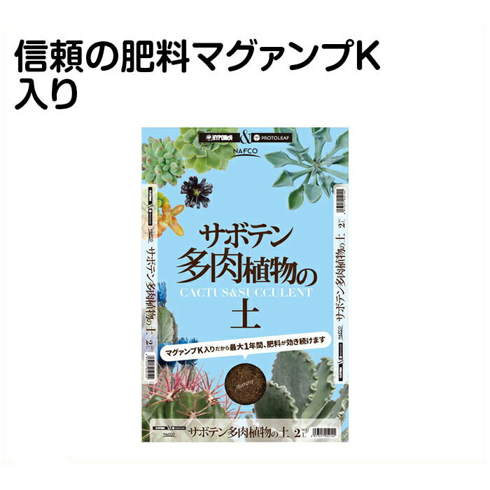 ナフコ サボテン・多肉植物の 2L