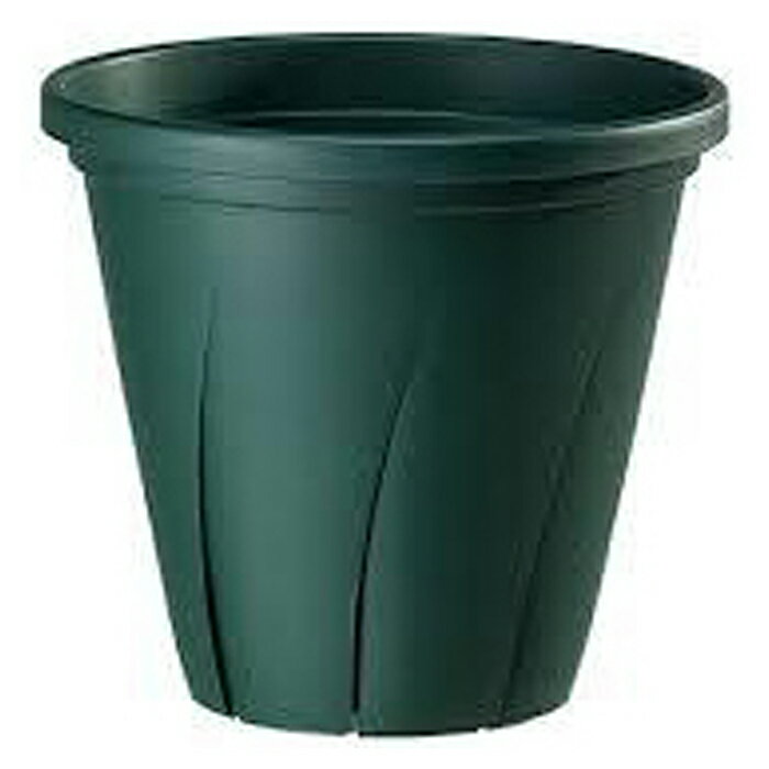 �ڳ�ŷ�����ѡ�SALE�ۺ��Ϥ�ȭ ���������꡼�� 6���2026/3/4 20�� - 3/11 1��59ʬ��