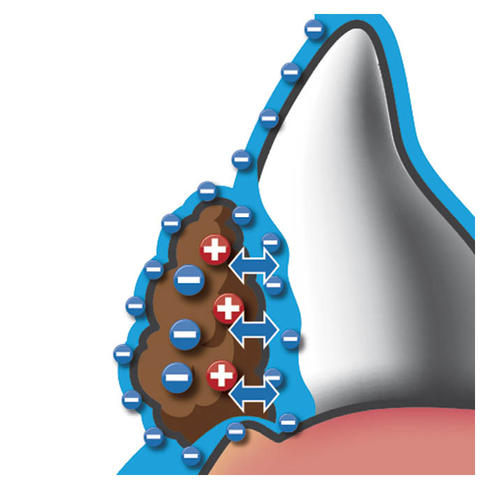トーラス 歯みがきラクヤー リキッド 100ml