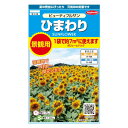 サカタのタネ 景観用大袋 ひまわり ビューティフルサン 905910