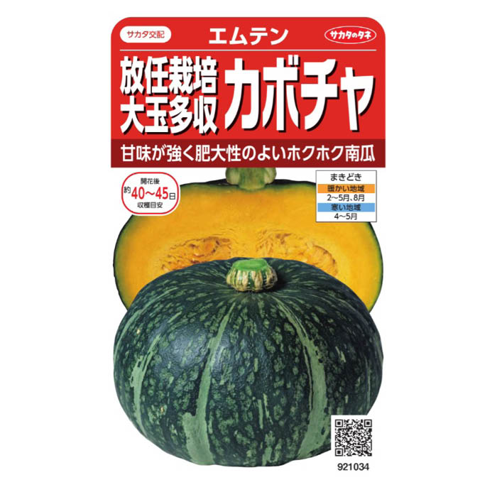 【エントリーでポイント10倍】サカタのタネ 放任栽培大玉多収カボチャ エムテン 921034【2024/5/23 20時 - 5/27 1時59分】