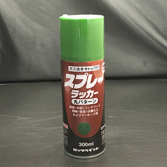 ロックペイント スプレーラッカー 300ml グリーン H62-5821