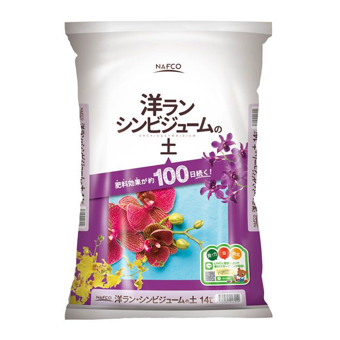 洋ラン・シンビジュー 14L
