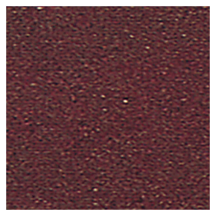 送料無料イトーシン N水性屋上防水塗料セット 8 5kg レンガ 送料無料sinbii Diy 工具花 ガーデン Diy Www Tripseller In