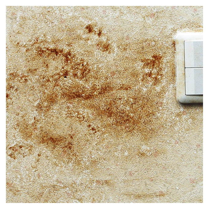 ■用途：カベ紙（ビニール製）の汚れ落し■成分：界面活性剤（23％ポリオキシエチレンアルキルエーテル、トールオイル・ソルト、脂肪酸カリウム）、キレート剤（エチレンジアミン四酢酸）■蒸留水液性：アルカリ性