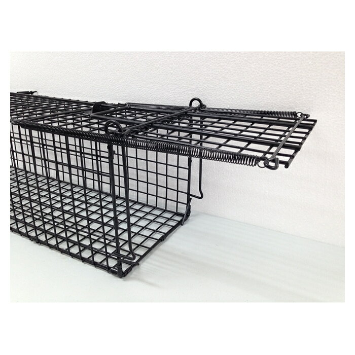 WP��ưʪ����å��㡼 TA26