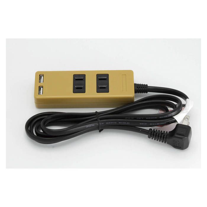 USB付スタイリッシュタップ SK-2T2USB MY