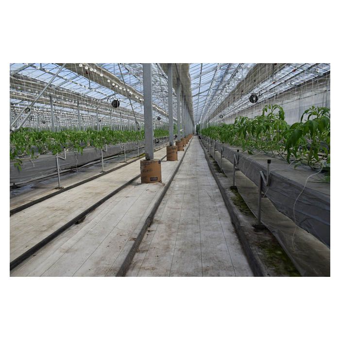 防草シート白 2m×100m