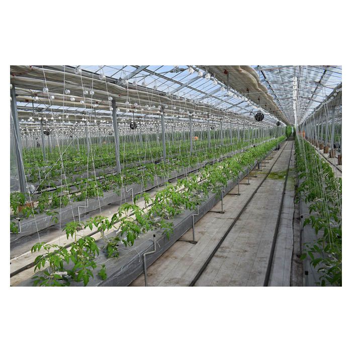 防草シート白 2m×100m