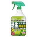 住友化学 ザイトロンアミンスプレー 900ML