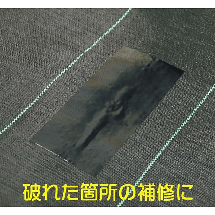 ��̩�����𥷡����ѥơ��� �� 100mm��20m