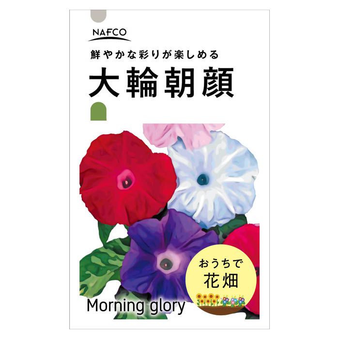 【エントリーでポイント10倍】おうちで花畑　花の種 大輪朝顔【2024/5/23 20時 - 5/27 1時59分】