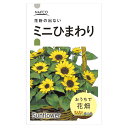 おうちで花畑　花の種 ミニひまわり