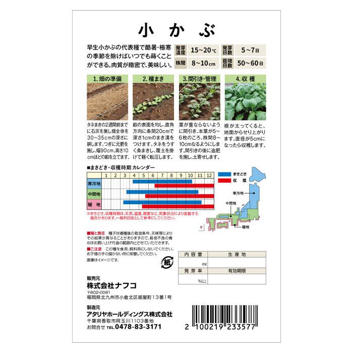 おうちで収穫　野菜の種 小かぶ