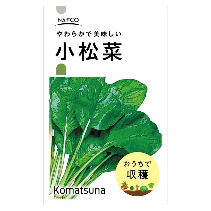 【エントリーでポイント10倍】おうちで収穫　野菜の種 小松菜【2024/5/9 20時 - 5/16 1時59分】