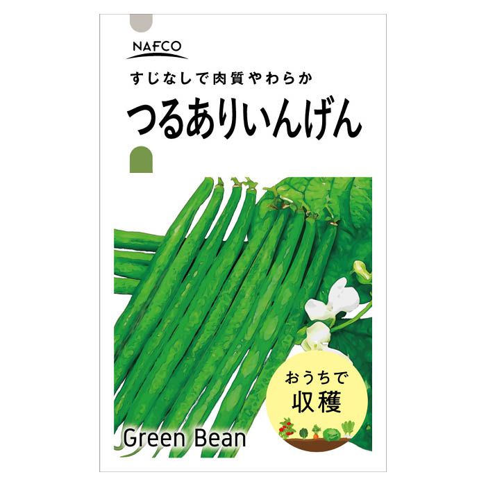 【エントリーでポイント10倍】おうちで収穫　野菜の種 つるありいんげん【2024/5/9 20時 - 5/16 1時59分】