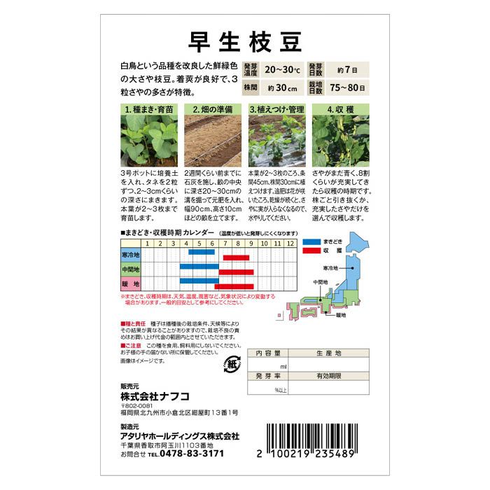 おうちで収穫 野菜の種 早生枝豆